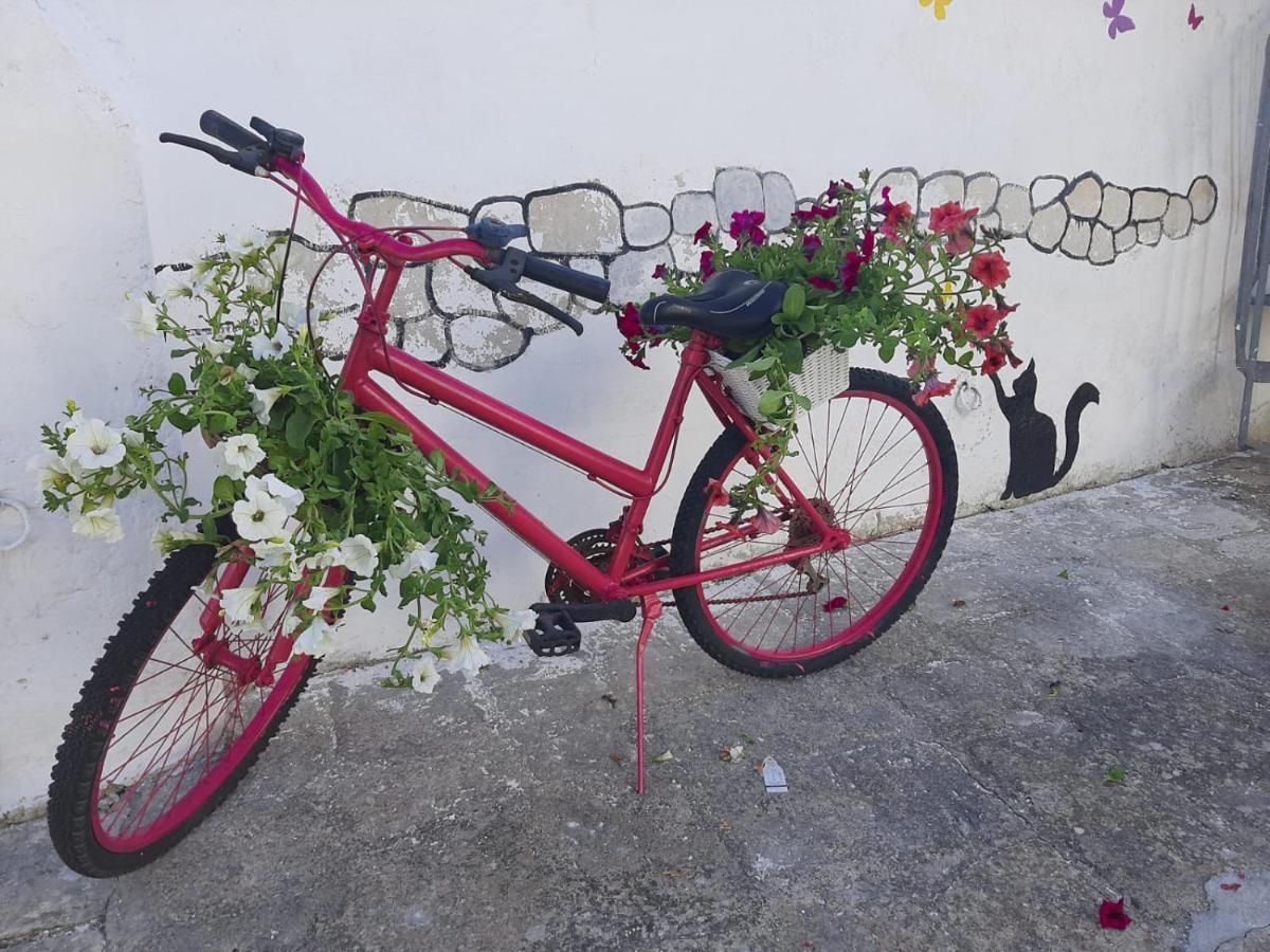 Villino Tronchetto Bianco Bed & Breakfast Mola di Bari Exterior photo