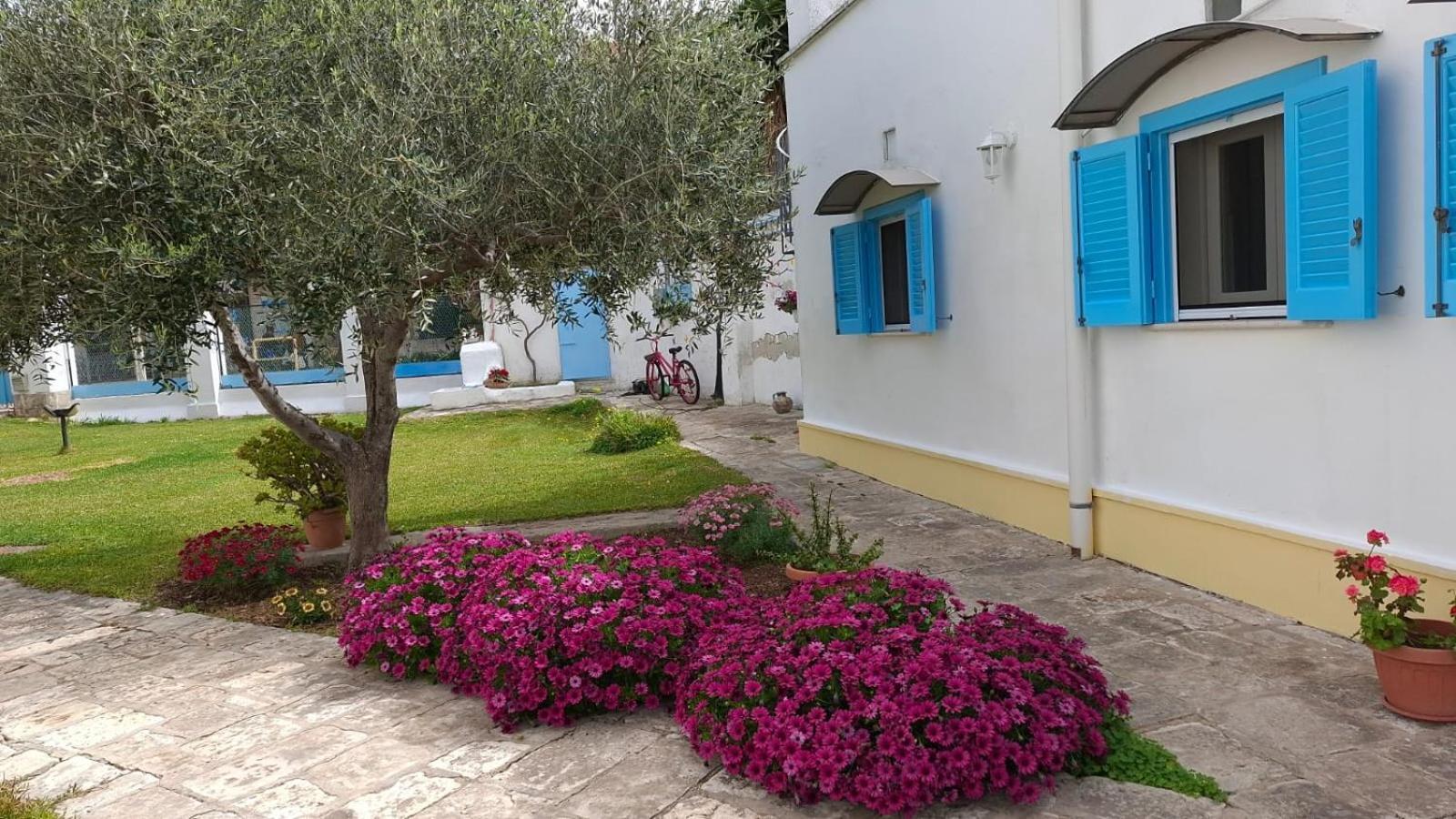 Villino Tronchetto Bianco Bed & Breakfast Mola di Bari Exterior photo